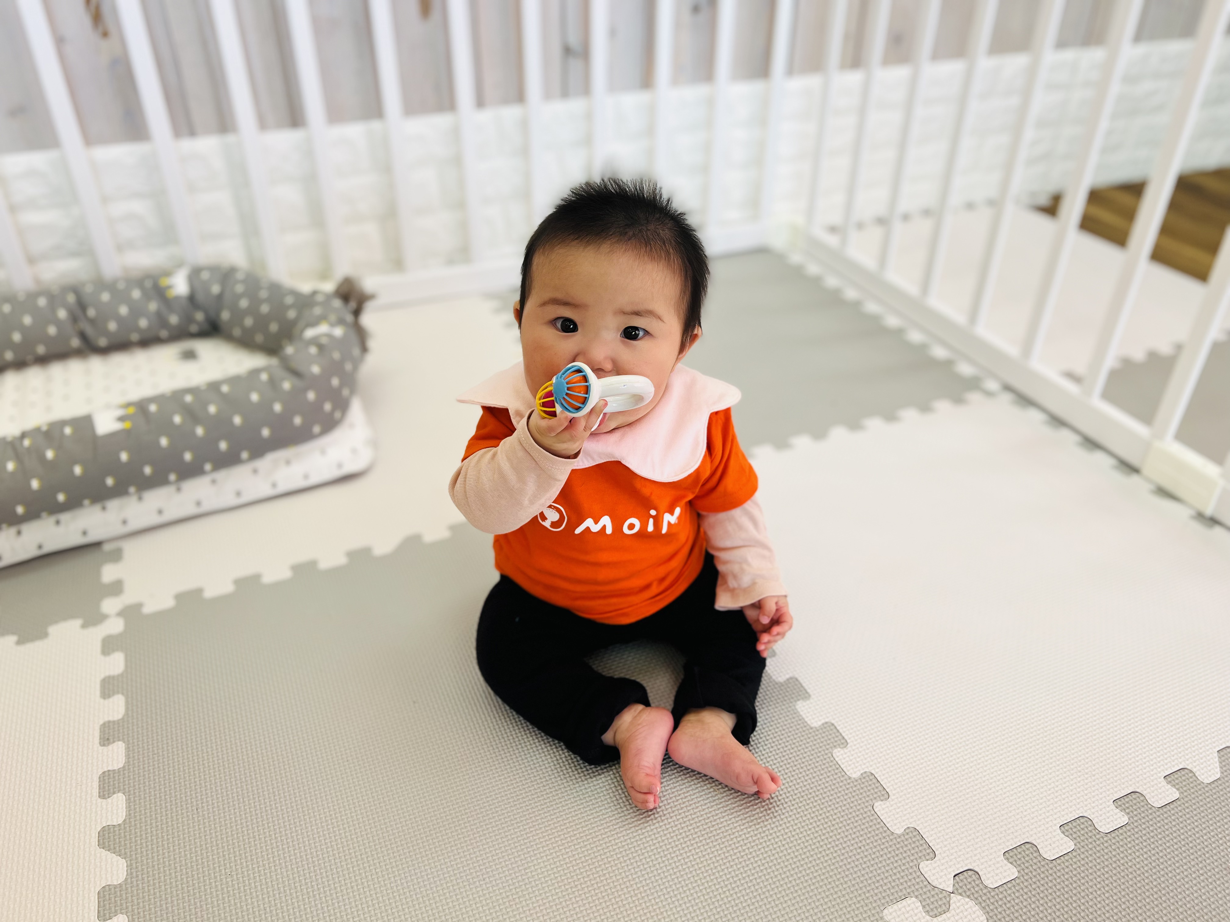 専用アプリでお預かり中の写真が届くポイント